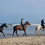 Przy Stajni Tatil Evi