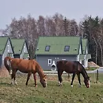 Przy Stajni