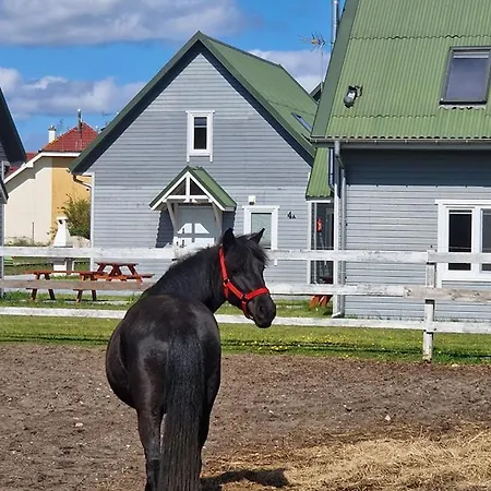 Przy Stajni 別荘 *