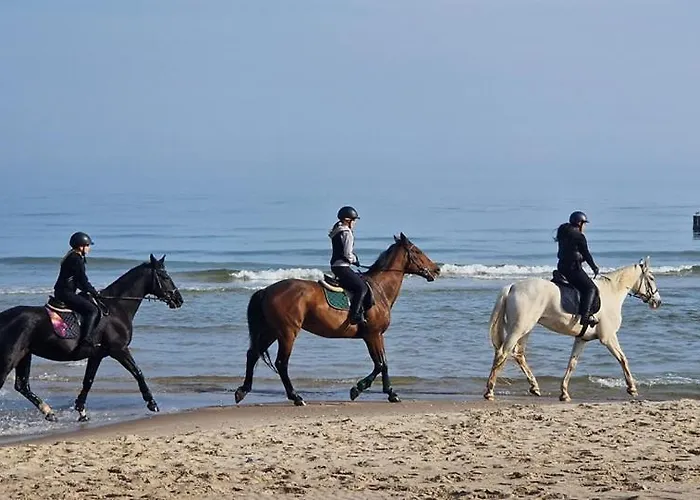 Przy Stajni Hébergement de vacances