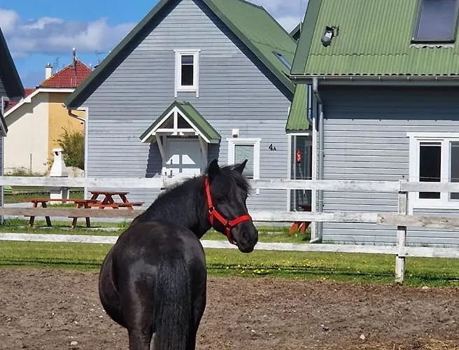 Przy Stajni 別荘 *